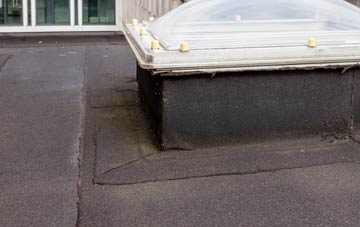 disadvantages of Bryn Pydew flat roofs