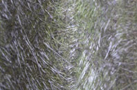 Bryn Pydew fibreglass roof work